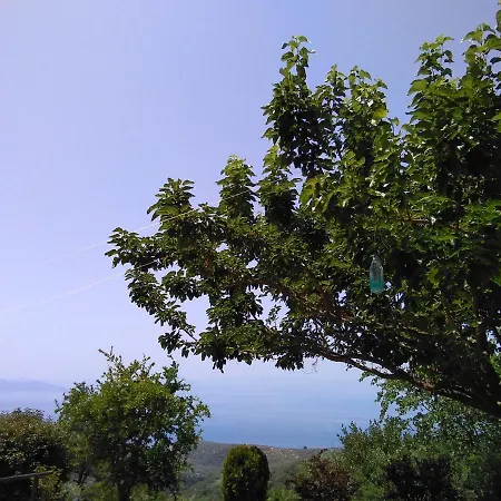 Holiday House- Afetes Pelion -αφέτες πηλίου Holiday home *