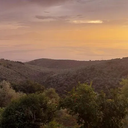 Holiday House- Afetes Pelion -αφέτες πηλίου Holiday home