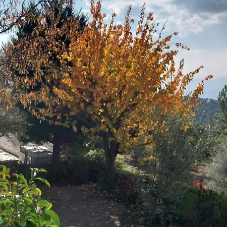 Holiday House- Afetes Pelion -αφέτες πηλίου Afétai